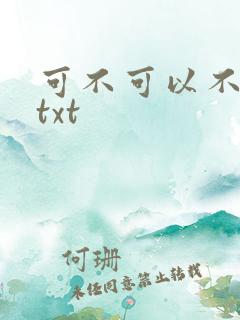 可不可以不嫁人txt