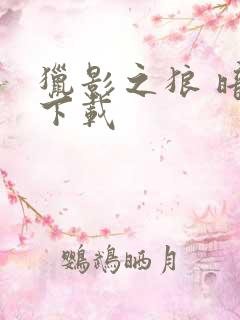 猎影之狼 暗夜下载