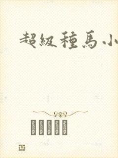 超级种马小说