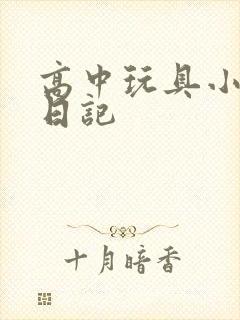 高中玩具小诗的日记