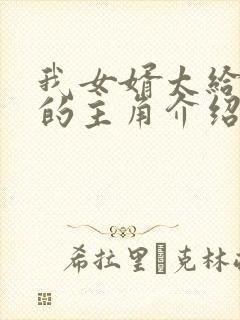 我女婿太给力了的主角介绍