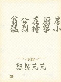 翁公在厨房和我猛烈撞击小说