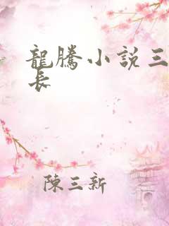 龙腾小说三宝局长