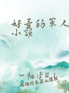 好看的军人高干小说