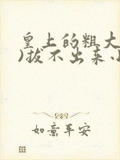 皇上的粗大(h)拔不出来小说