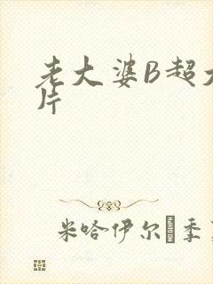 老大婆B超大图片