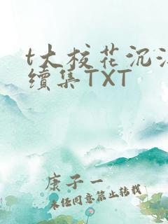 t大校花沉浮录续集TXT