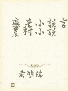 恋老小说言情网农村小说