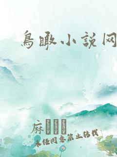 鸟瞰小说网
