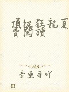 顶级狂龙夏天免费阅读