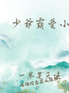 少爷霸爱小丫头