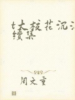 t大校花沉浮录续集