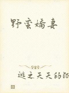 野蛮娇妻
