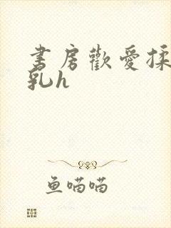 书房欢爱揉捏娇乳h