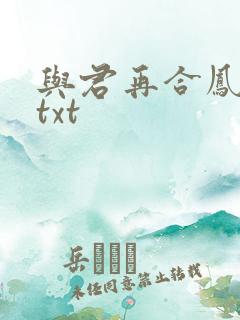 与君再合凤求凰txt