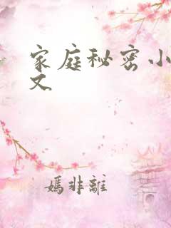 家庭秘密小说全文