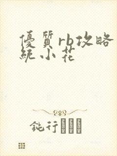 优质rb攻略系统小花