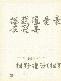 总裁猎爱豪门一夜宠妻