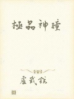 极品神瞳