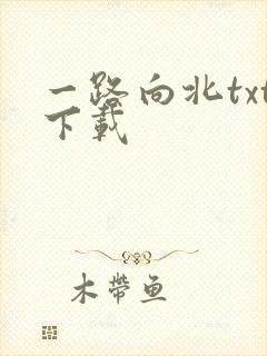 一路向北txt下载