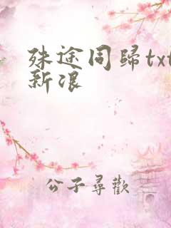 殊途同归txt新浪