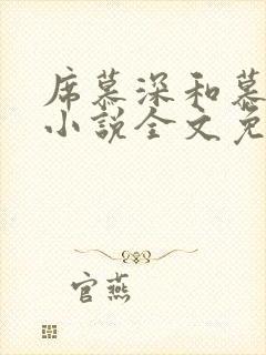 席慕深和慕清泠小说全文免费阅读