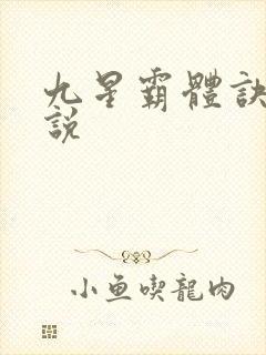 九星霸体诀 小说
