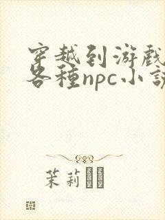 穿越到游戏里和各种npc小说