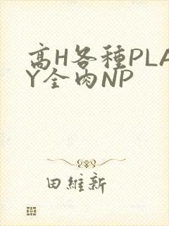 高H各种PLAY全肉NP
