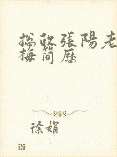 总政张阳老婆吕梅简历