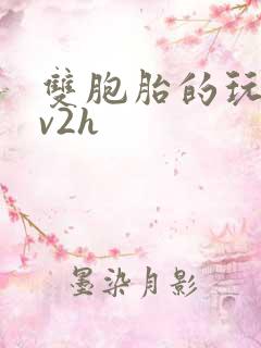 双胞胎的玩具1v2h