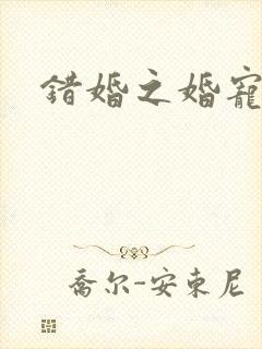 错婚之婚宠一世