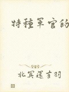 特种军官的宠妻