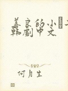 善良的小峓子2韩剧中文