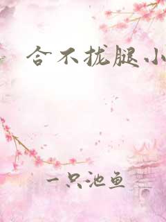 合不拢腿小说