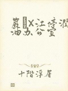 严峫X江停润滑油办公室