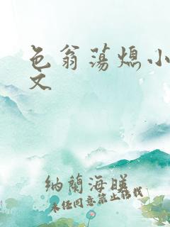 色翁荡熄小说全文