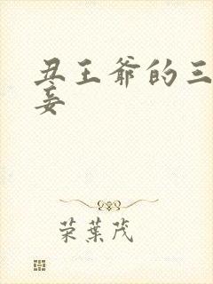 丑王爷的三妻四妾