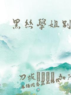 黑丝学姐别乱来