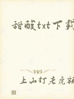甜酸txt下载
