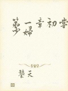 第一章初尝极品少妇
