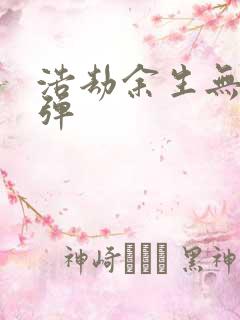 浩劫余生无限子弹