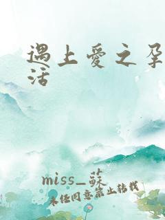 遇上爱之孕夫生活