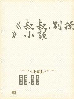 《叔叔,别撩我》小说