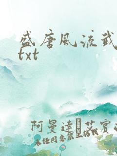 盛唐风流武状元txt