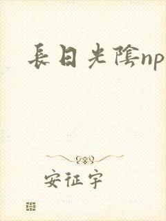 长日光阴np