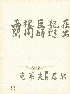 两根巨龙在她腿间同时进出