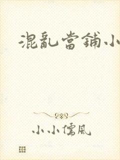 混乱当铺小说
