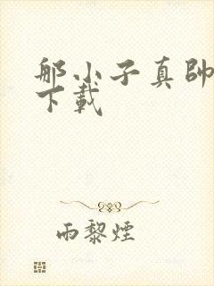 那小子真帅小说下载