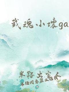 武魂小坏ga